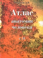 Атлас анатомии человека Том II артикул 2804c.